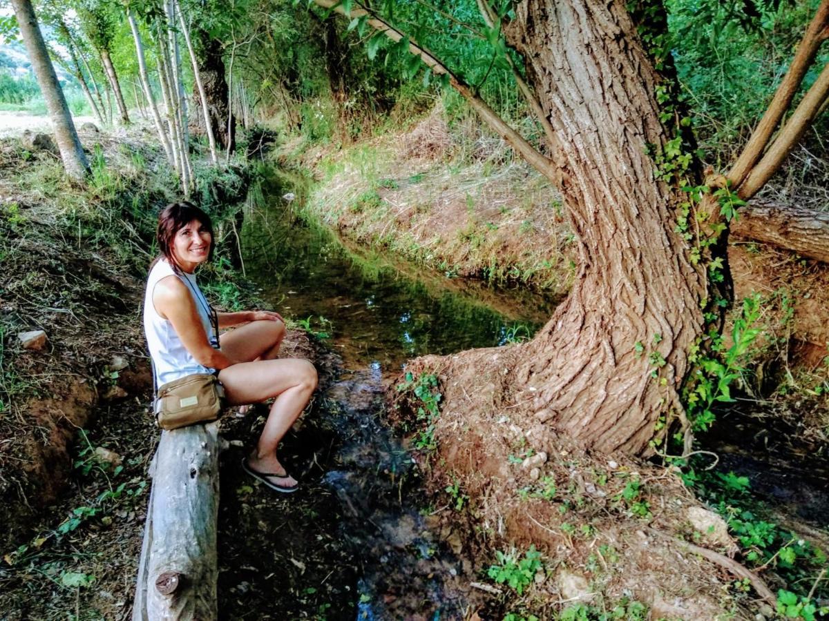 Alojamiento Rural Las Maravillas Cañada Catena エクステリア 写真