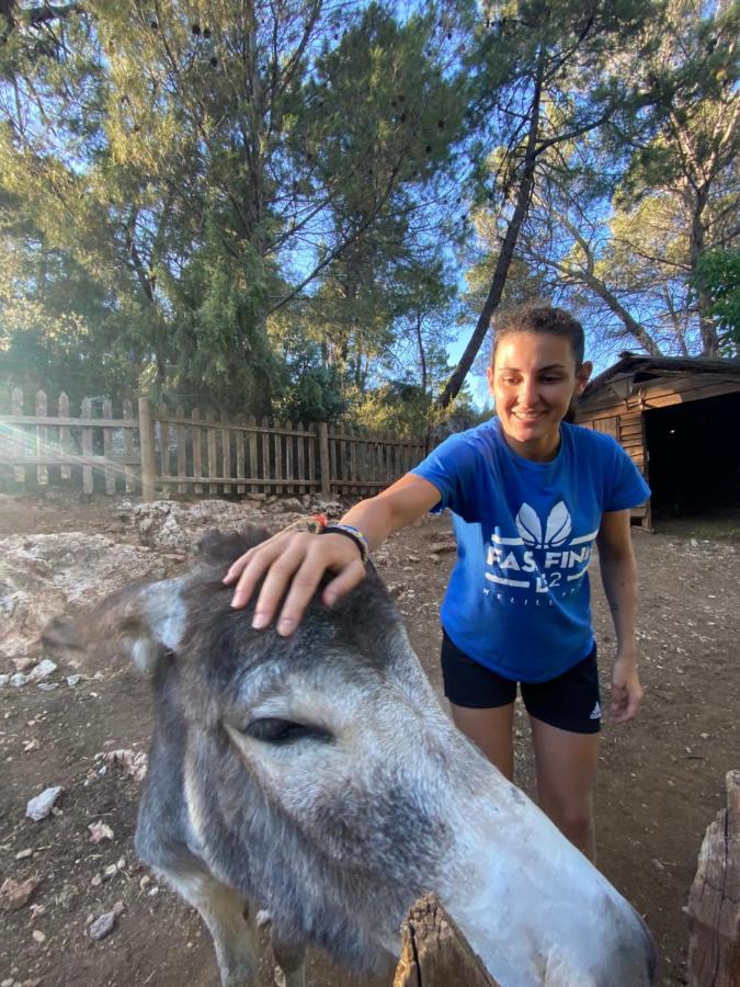 Alojamiento Rural Las Maravillas Cañada Catena エクステリア 写真