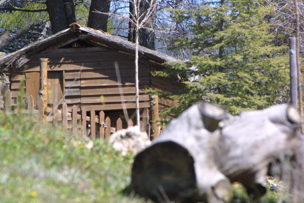 Alojamiento Rural Las Maravillas Cañada Catena エクステリア 写真