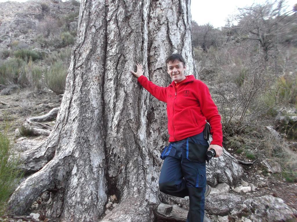 Alojamiento Rural Las Maravillas Cañada Catena エクステリア 写真
